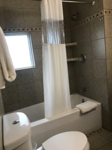 A toilet beside a bathtub with a shower curtain